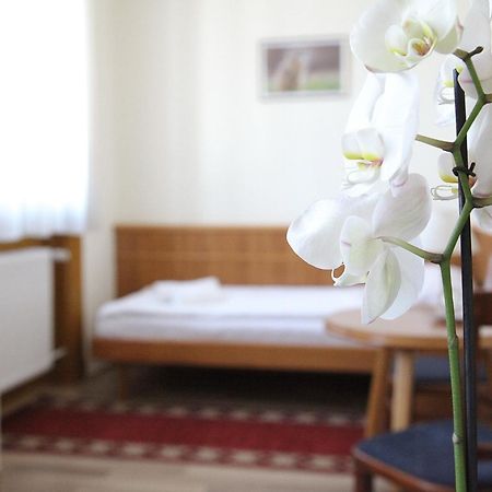 Hotel Corvinus Zalaszentgrót المظهر الخارجي الصورة