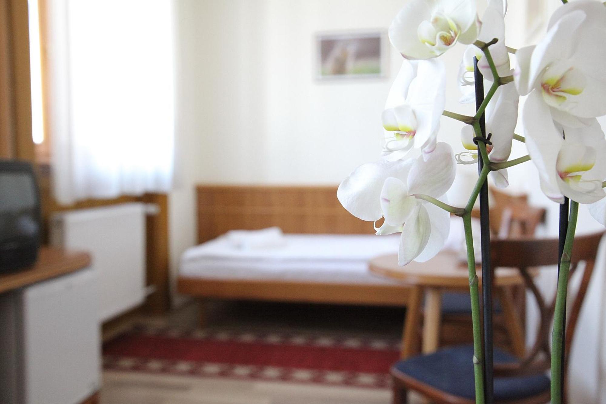 Hotel Corvinus Zalaszentgrót المظهر الخارجي الصورة